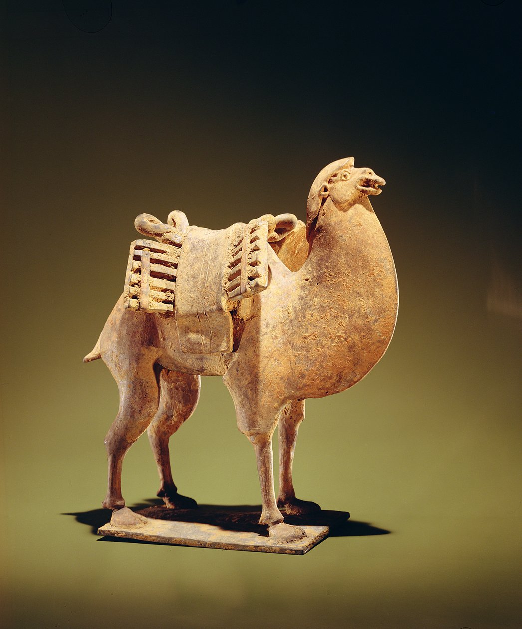 Wielbłąd, połowa do końca VI w., dynastia Północnego Wei (386-534)-Północnego Qi (550-77) (naczynia gliniane) (zob. także 394830) autorstwa Chinese School