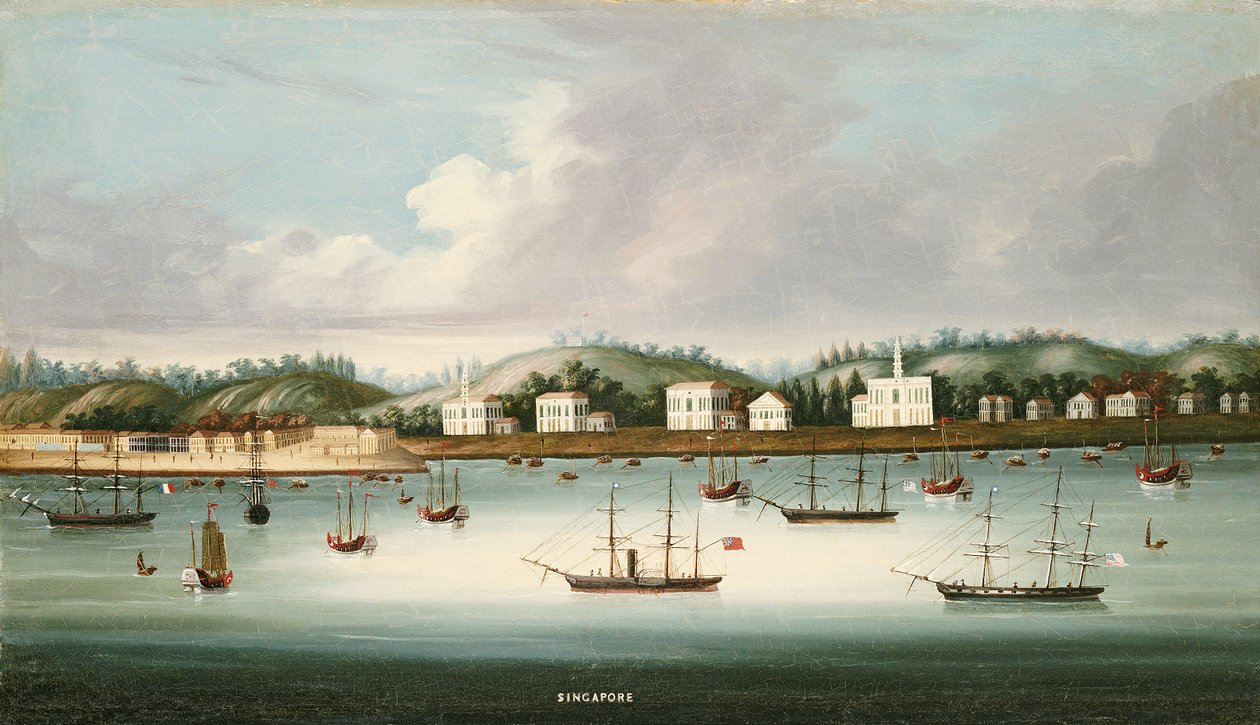Widok Singapuru z dróg z żeglugą amerykańską, francuską i brytyjską, ok.1850 autorstwa Chinese School