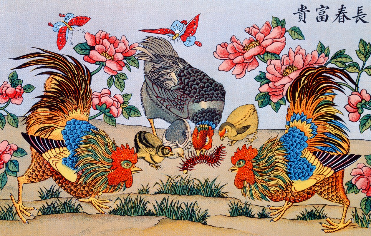 Kogut zabija krocionoga, ilustracja z Badania nad przesądami w Chinach, opublikowanej w Szanghaju przez Imrimerie de la Mission Catholique, 1929 autorstwa Chinese School