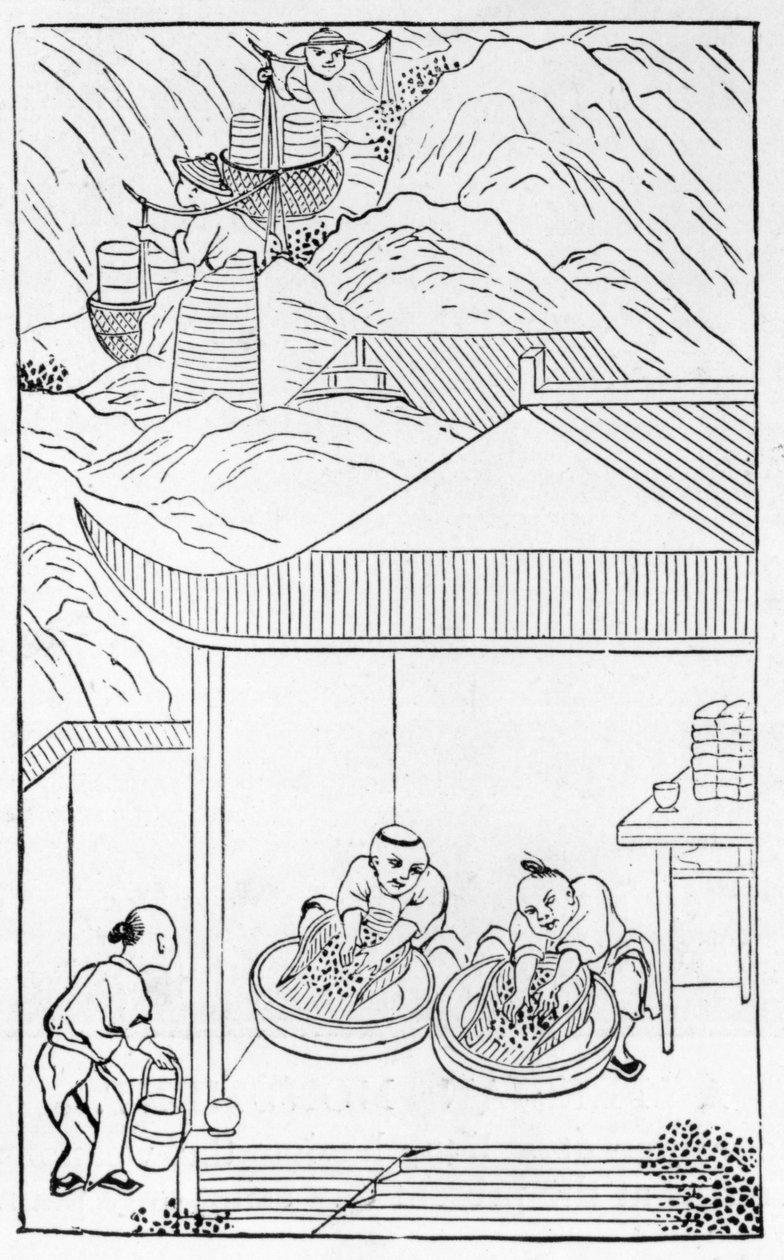 Zbieranie i mycie niebieskiej emalii do barwienia, z serii ilustracji dotyczących produkcji porcelany (patrz 384116 i 384117 dla całej serii) autorstwa Chinese School