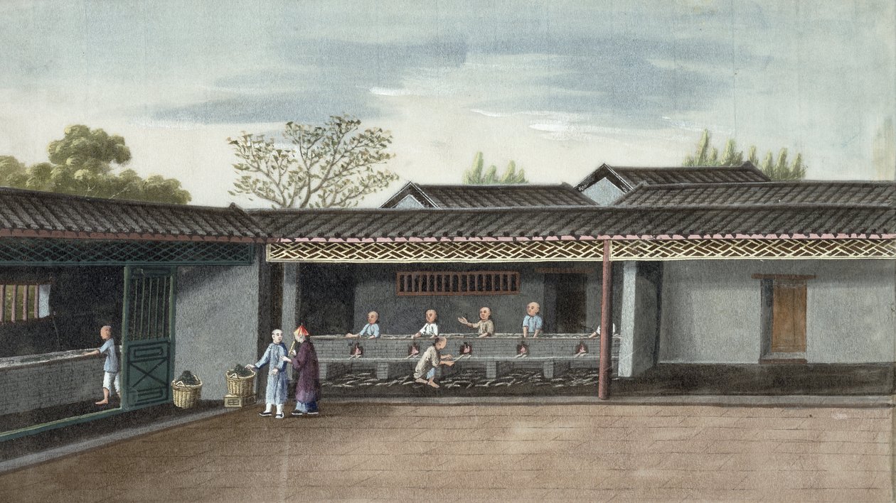 Suszenie liści herbaty (wc na papierze) autorstwa Chinese School