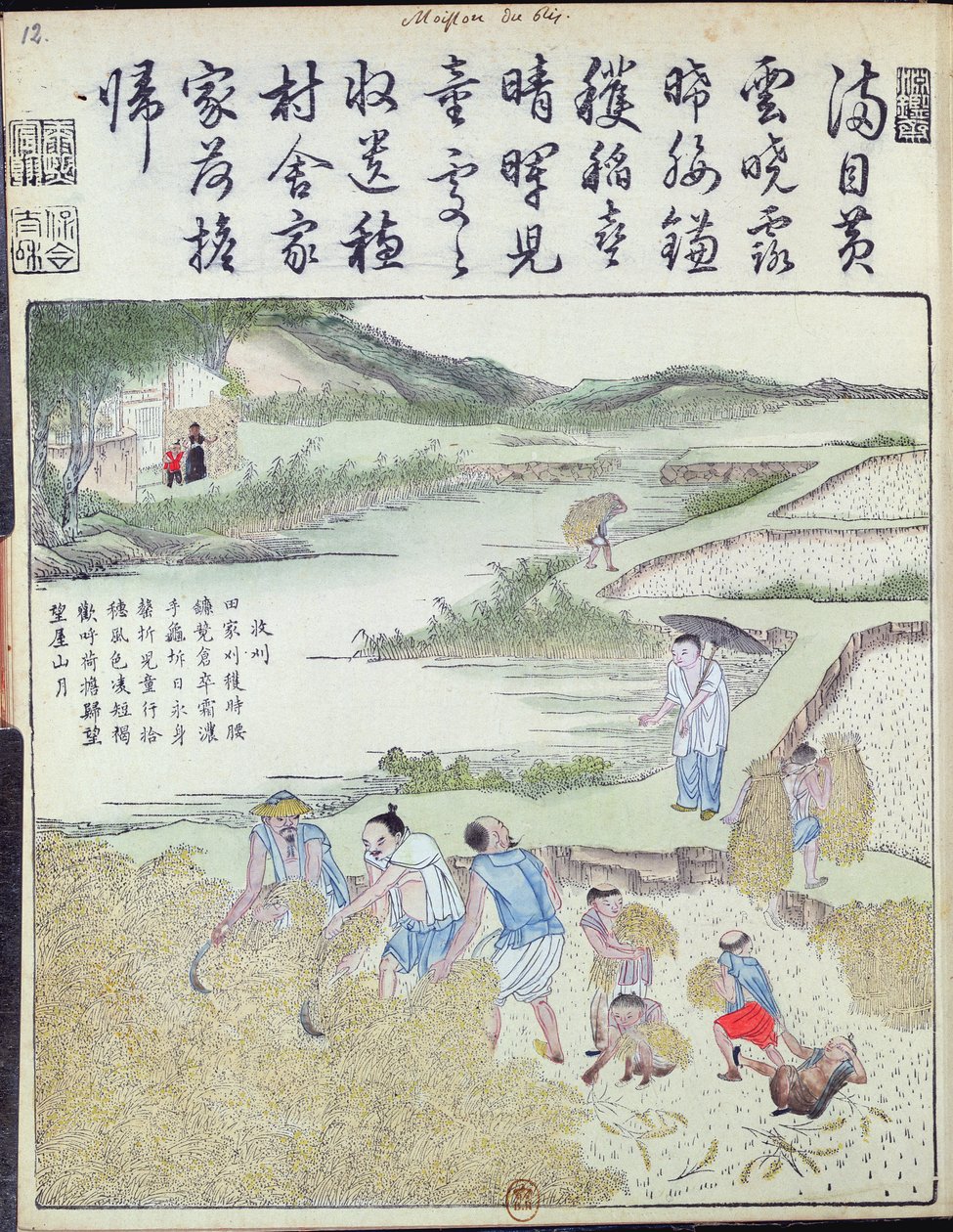 Harvest, The Rice Culture in China (kolorowy drzeworyt) autorstwa Chinese School