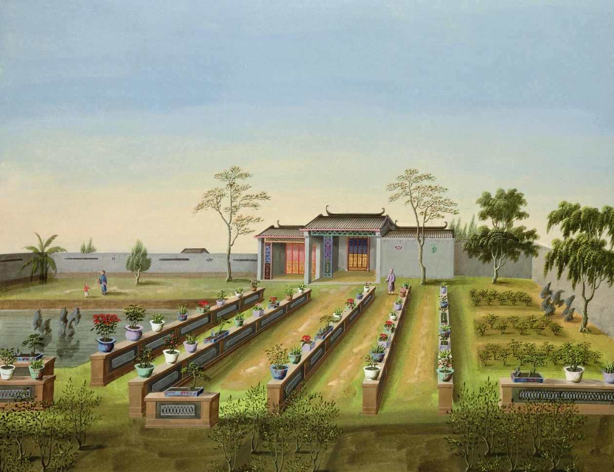 Ogródek dziecięcy, ok. 1820-40 (wc na papierze) autorstwa Chinese School
