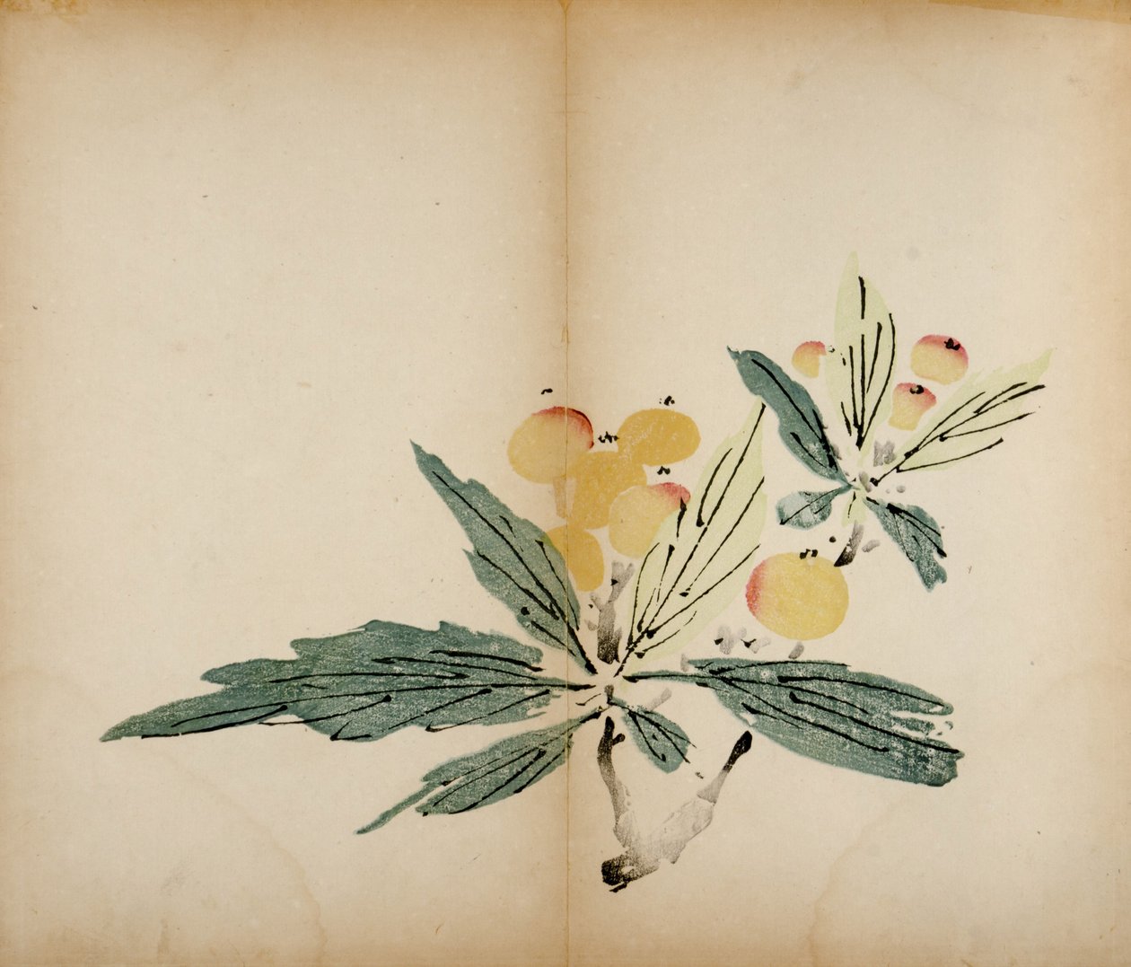 Dziesięć bambusowych odbitek studyjnych, 1643 (drzew) autorstwa Chinese School