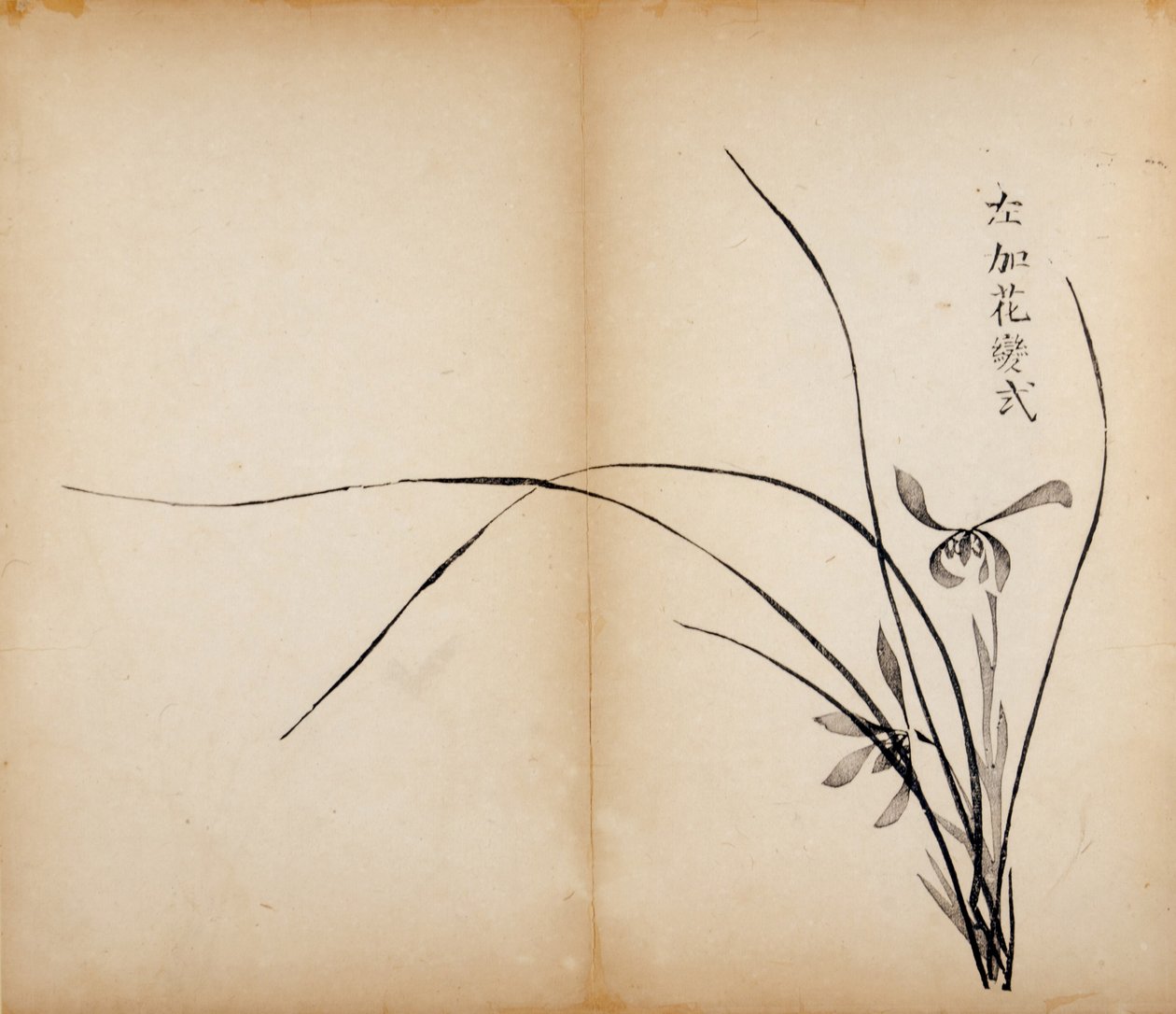 Dziesięć bambusowych odbitek studyjnych, 1643 (drzew) autorstwa Chinese School
