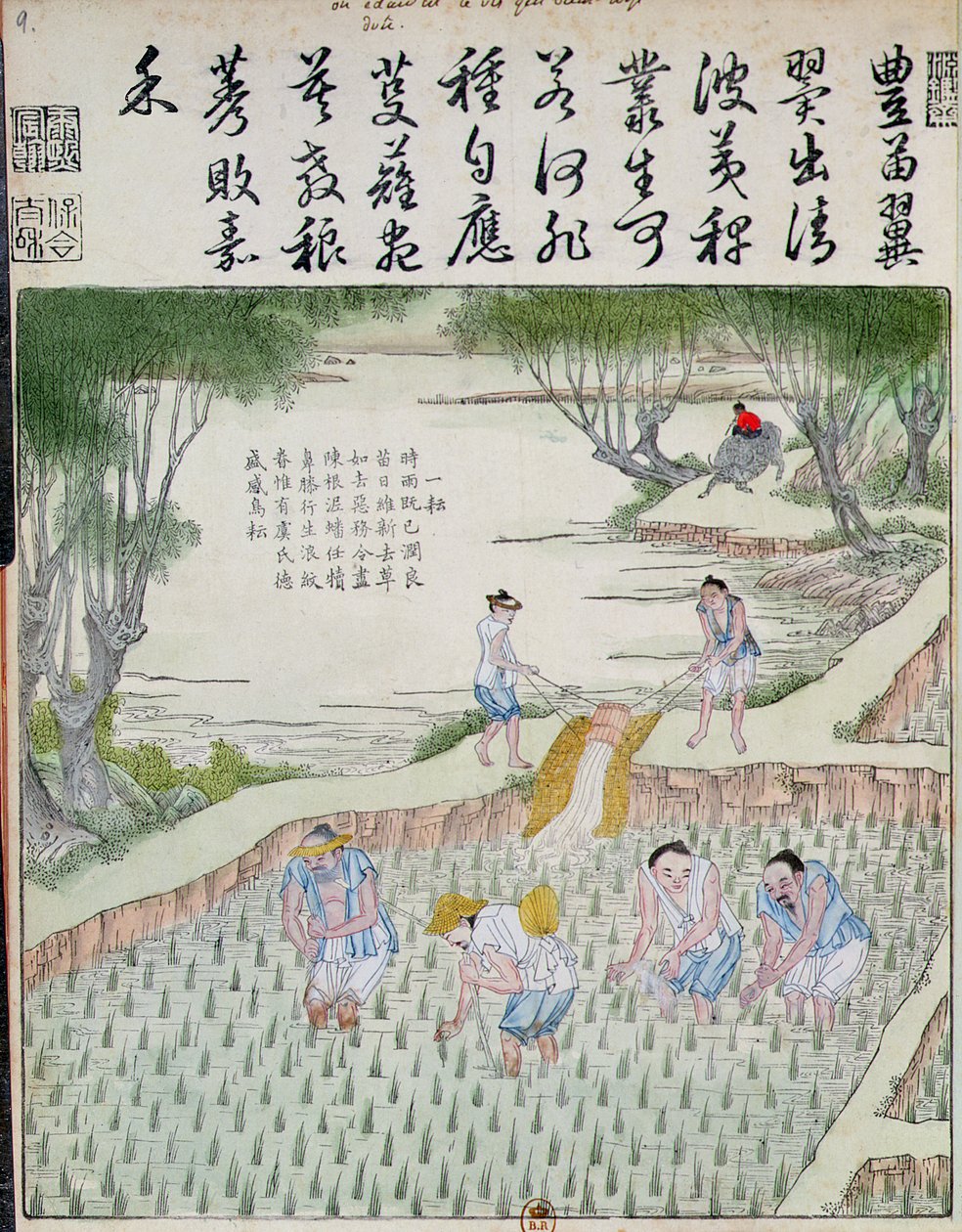 Weeding, The Rice Culture in China (kolorowy drzeworyt) autorstwa Chinese School
