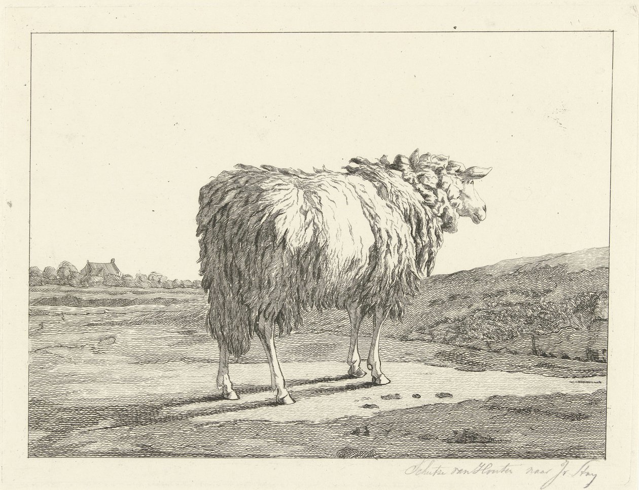 Owce w krajobrazie autorstwa Christiaan Godfried Schutze van Houten