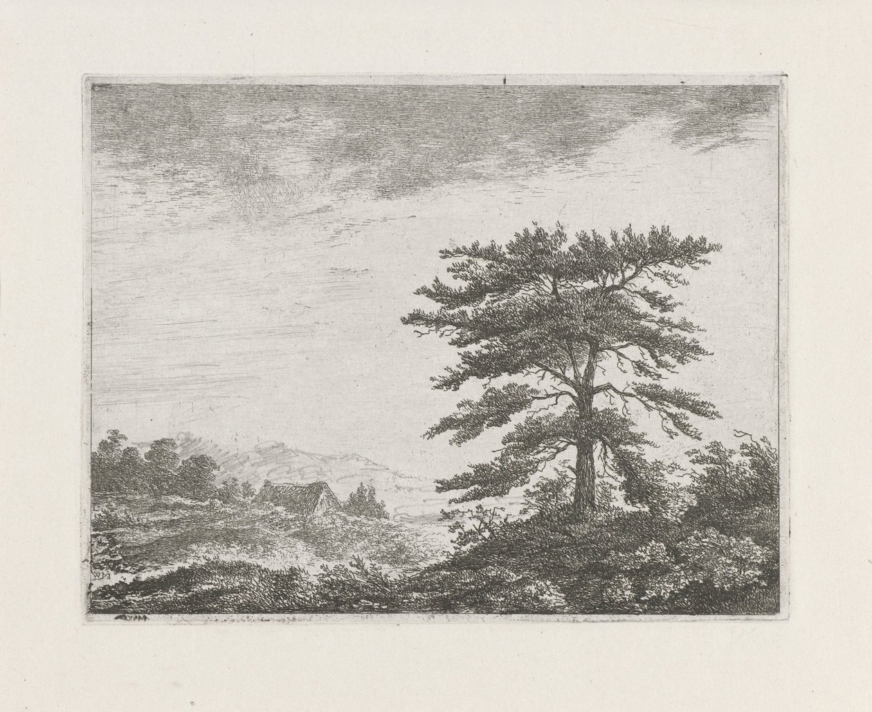 Drzewo w krajobrazie wrzosowisk autorstwa Christiaan Wilhelmus Moorrees