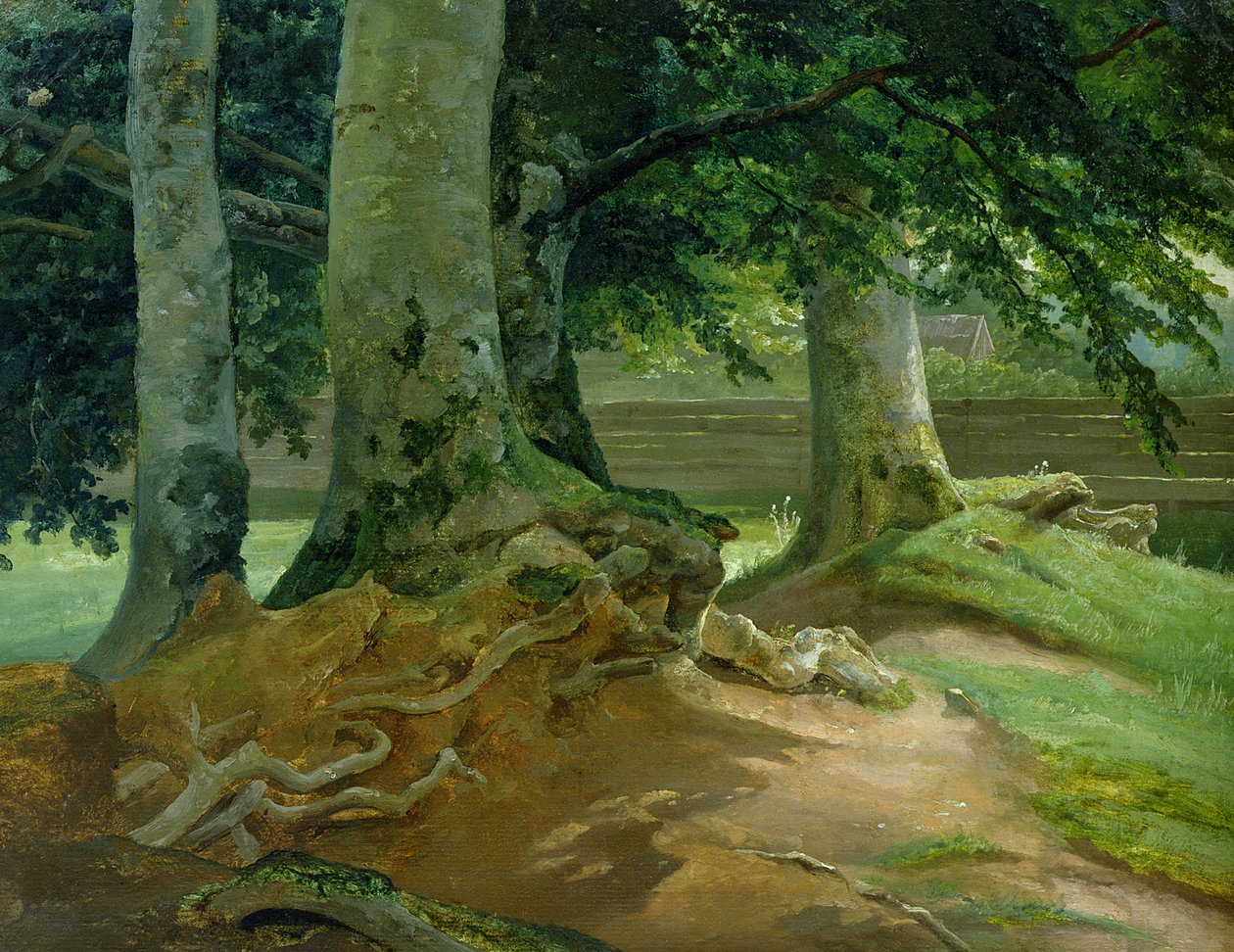 Buki we Frederiksdal koło Kopenhagi, 1828 (olej na papierze naklejony na karton) autorstwa Christian Ernst Bernhard Morgenstern