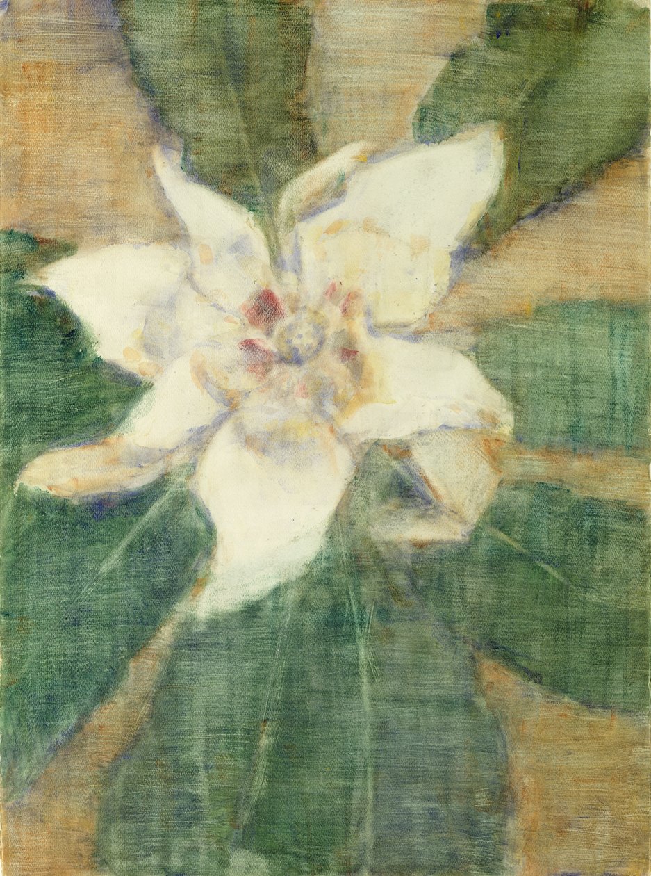 Magnolia Grandiflora (tempera na płótnie) autorstwa Christian Rohlfs