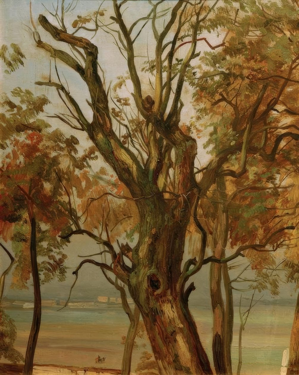 Badanie drzew jesienią (brzegi Łaby w pobliżu Drezna) autorstwa Christian Friedrich Gille