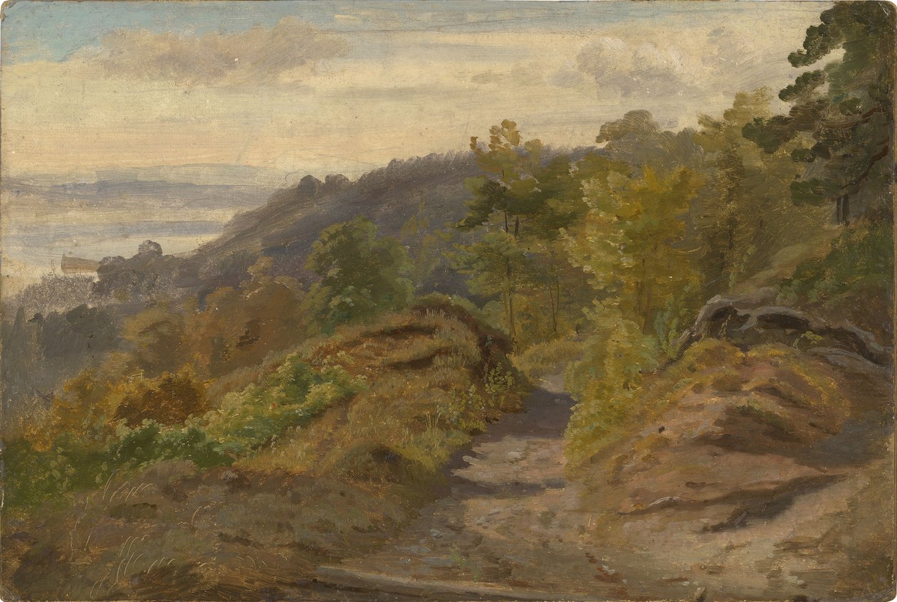 Górski strumień autorstwa Christian Friedrich Gille