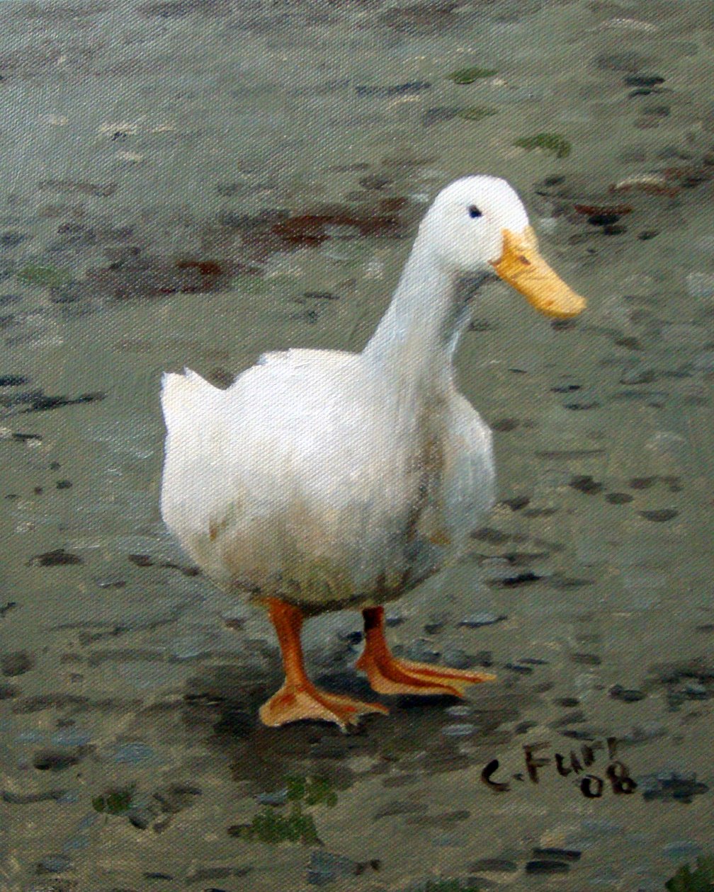 Gęś, 2006 (olej na płótnie) autorstwa Christian Furr