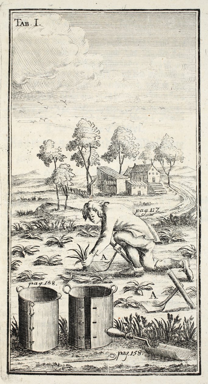 Zbiór ogrodników, wyd. Erfurt w Turyngii, 1753-55 autorstwa Christian Reicharts