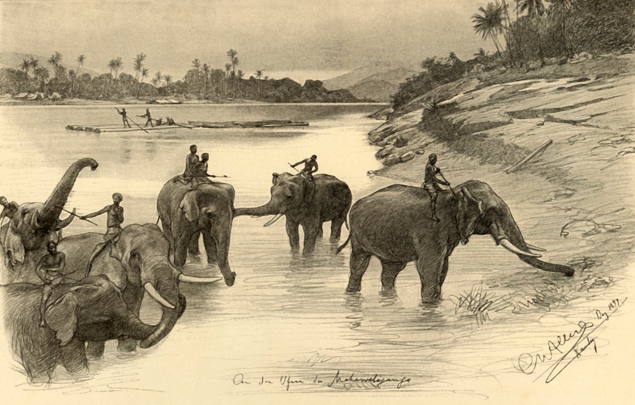 Słonie nad brzegiem rzeki Mahaweli, Cejlon, 1898. autorstwa Christian Wilhelm Allers