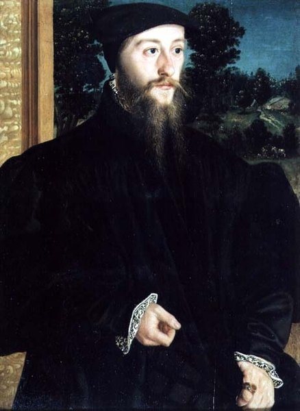 Portret brodatego dżentelmena autorstwa Christoph Amberger