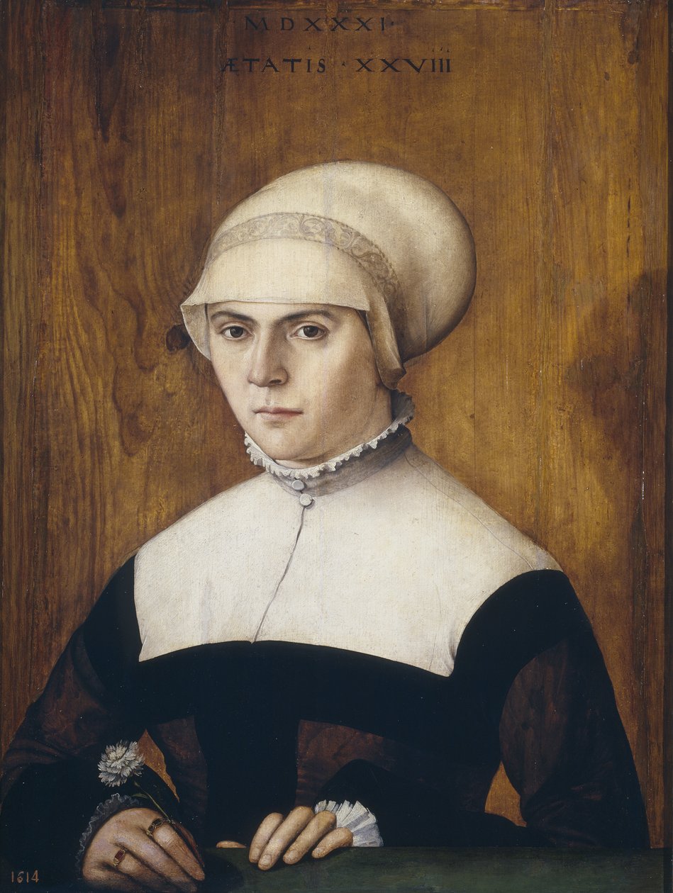 Żona Jörga Zörera, w wieku 28 lat 1531 autorstwa Christoph Amberger