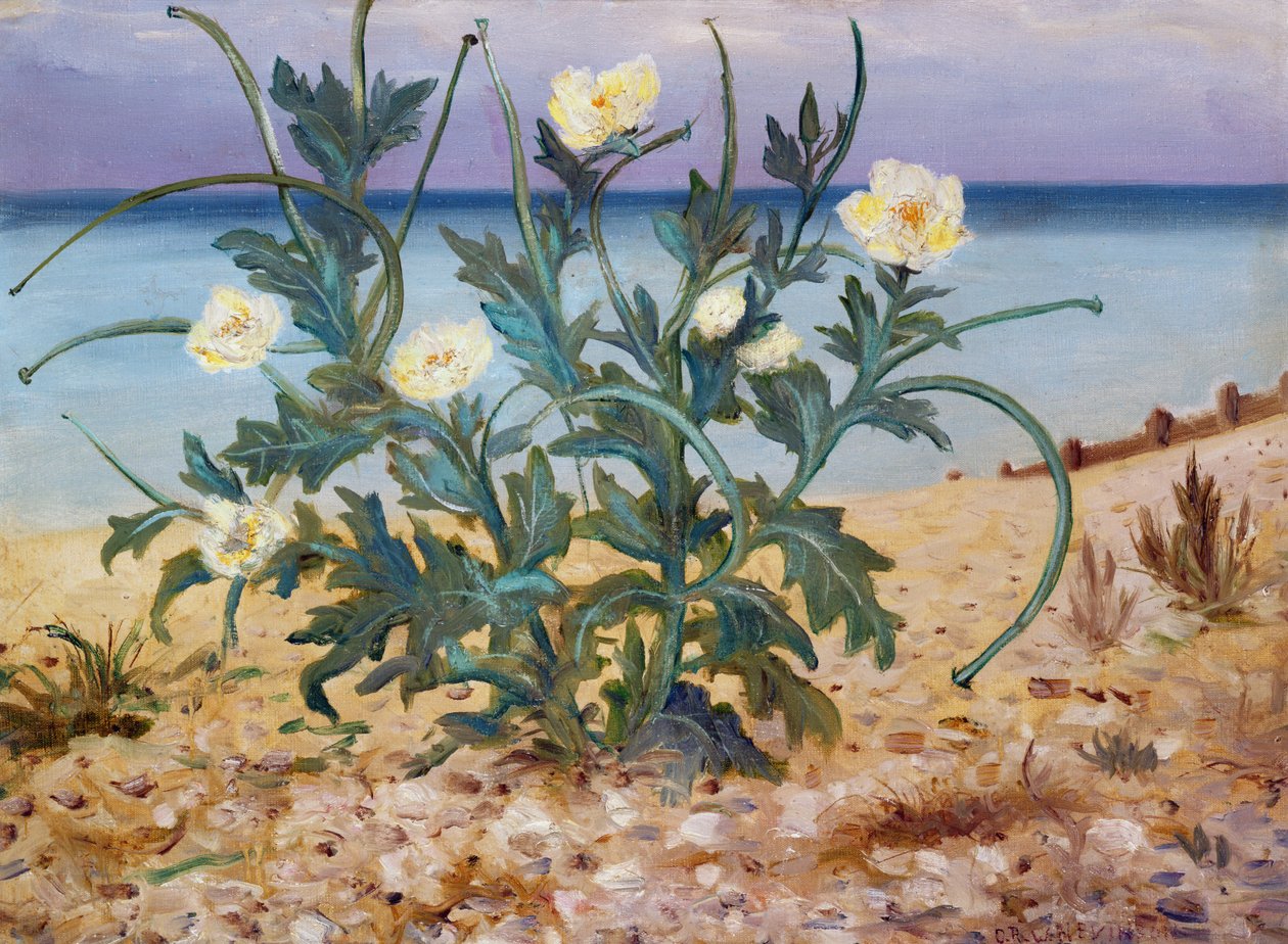 Wydmy, wschodnie wybrzeże, 1944 r autorstwa Christopher Richard Wynne Nevinson