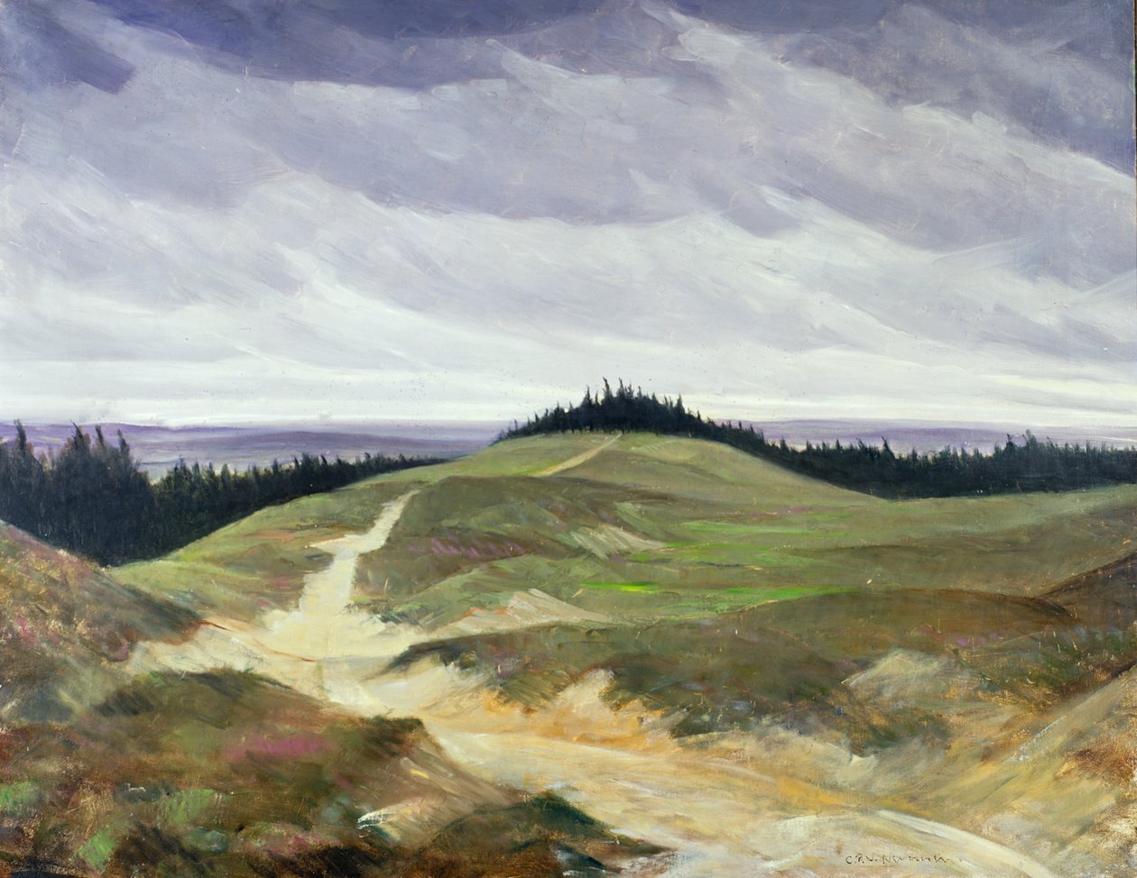 Sandy Path autorstwa Christopher Richard Wynne Nevinson