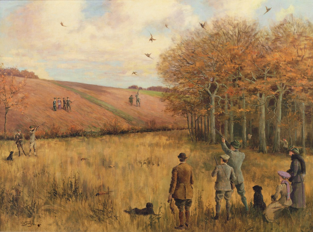 Strzelanie do bażantów autorstwa Christopher William Strange
