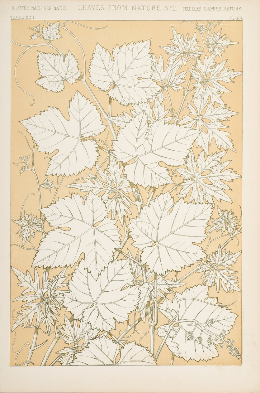 Liście z natury, 1868 (chromolitho) autorstwa Christopher Dresser