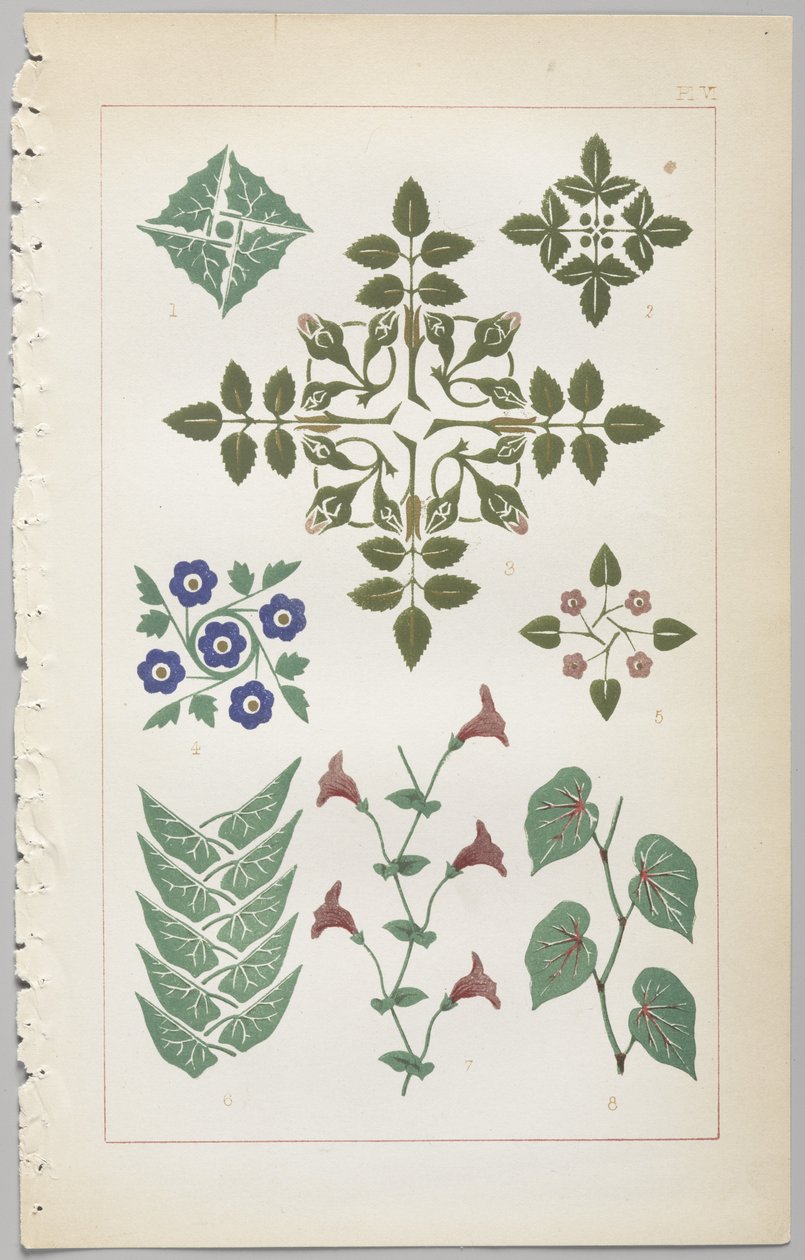 Sztuka projektowania dekoracyjnego : z dodatkiem, podającym godziny otwarcia kwiatów, wyd. Day & Son, Londyn, 1862 autorstwa Christopher Dresser