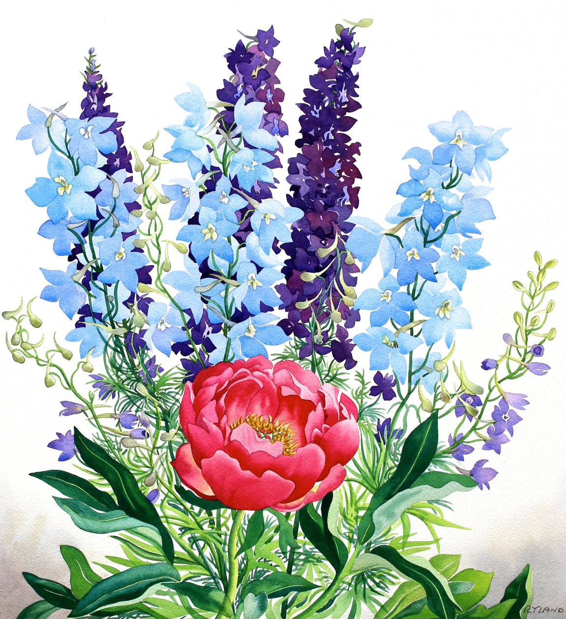 Niebieskie Delphinium autorstwa Christopher Ryland