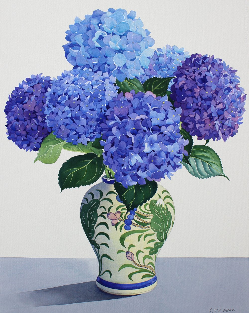 Niebieskie Hortensje (akwarela na papierze) autorstwa Christopher Ryland