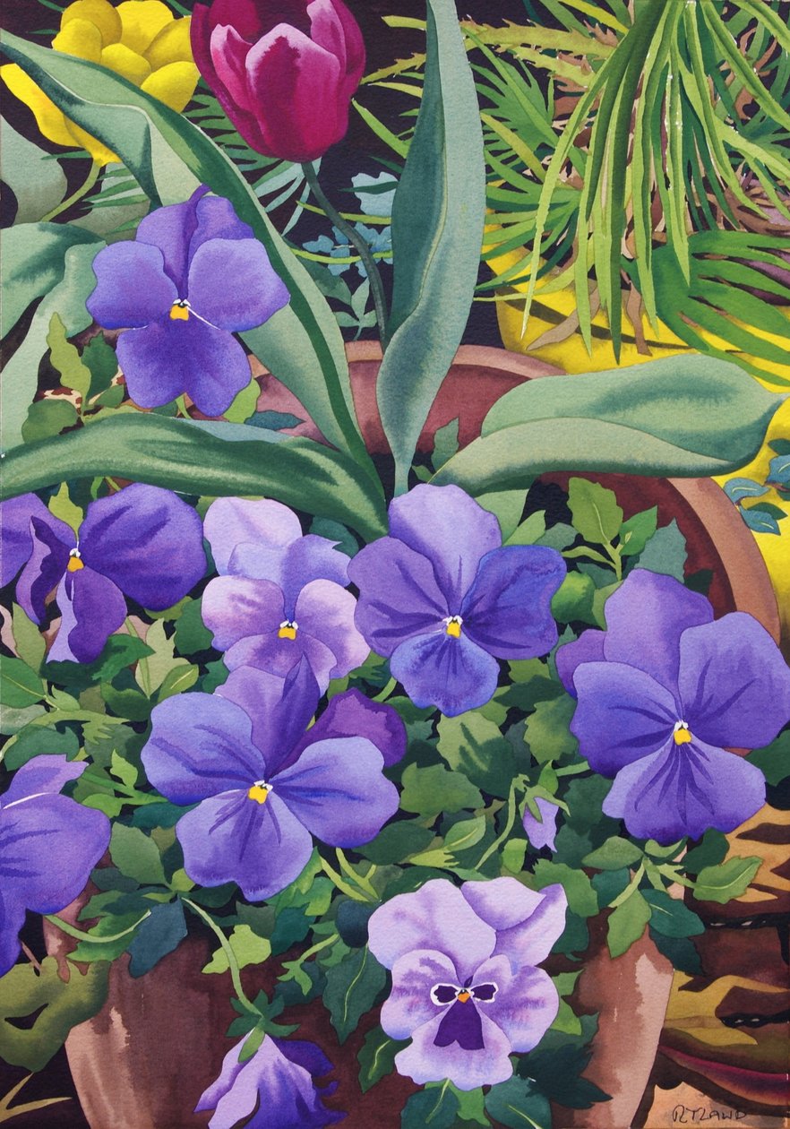 Doniczki z Bratkami, 2007 (wc na papierze) autorstwa Christopher Ryland