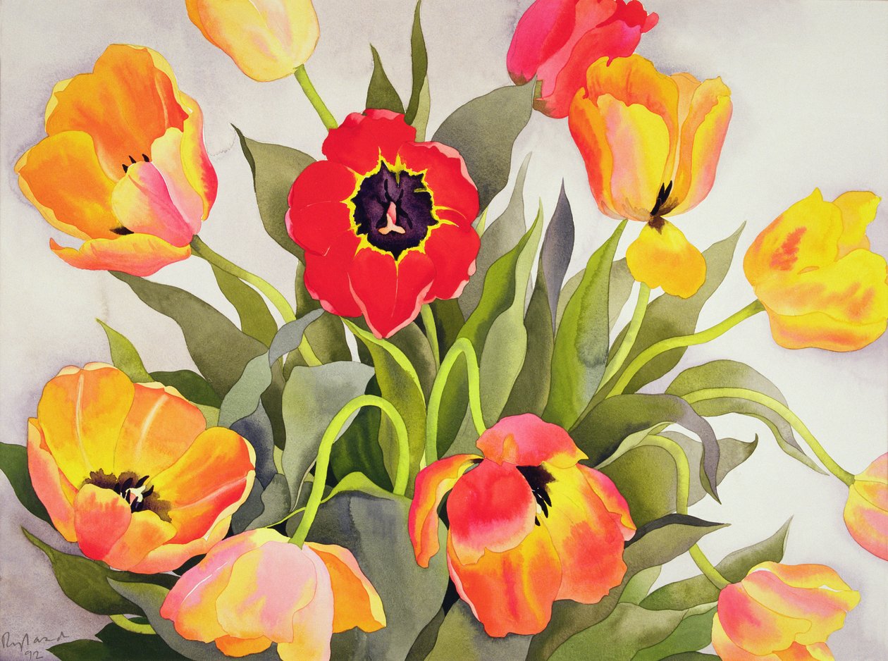 Tulipany pomarańczowe i czerwone (wc) autorstwa Christopher Ryland