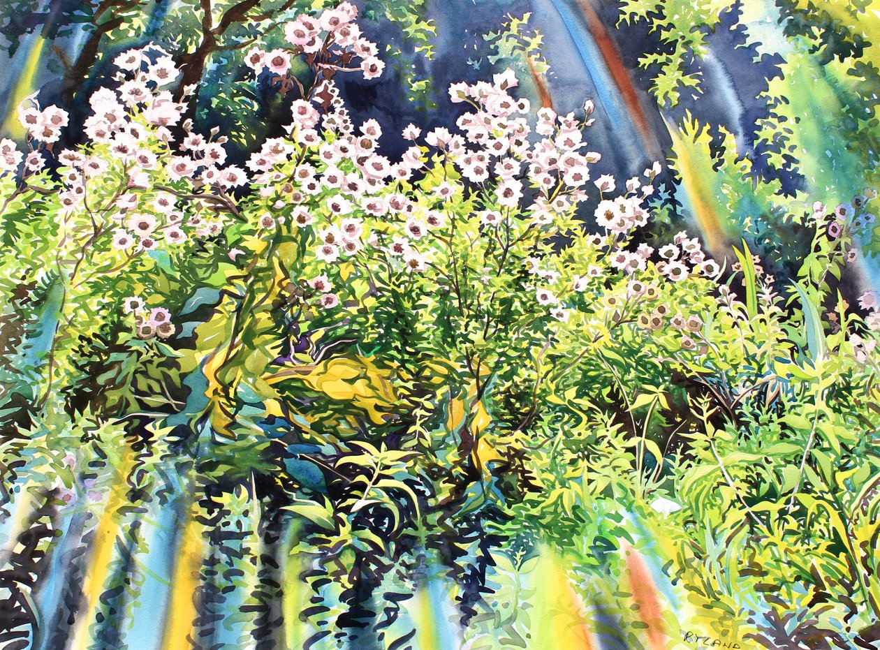 Thistledown, 2016 (akwarela na papierze) autorstwa Christopher Ryland