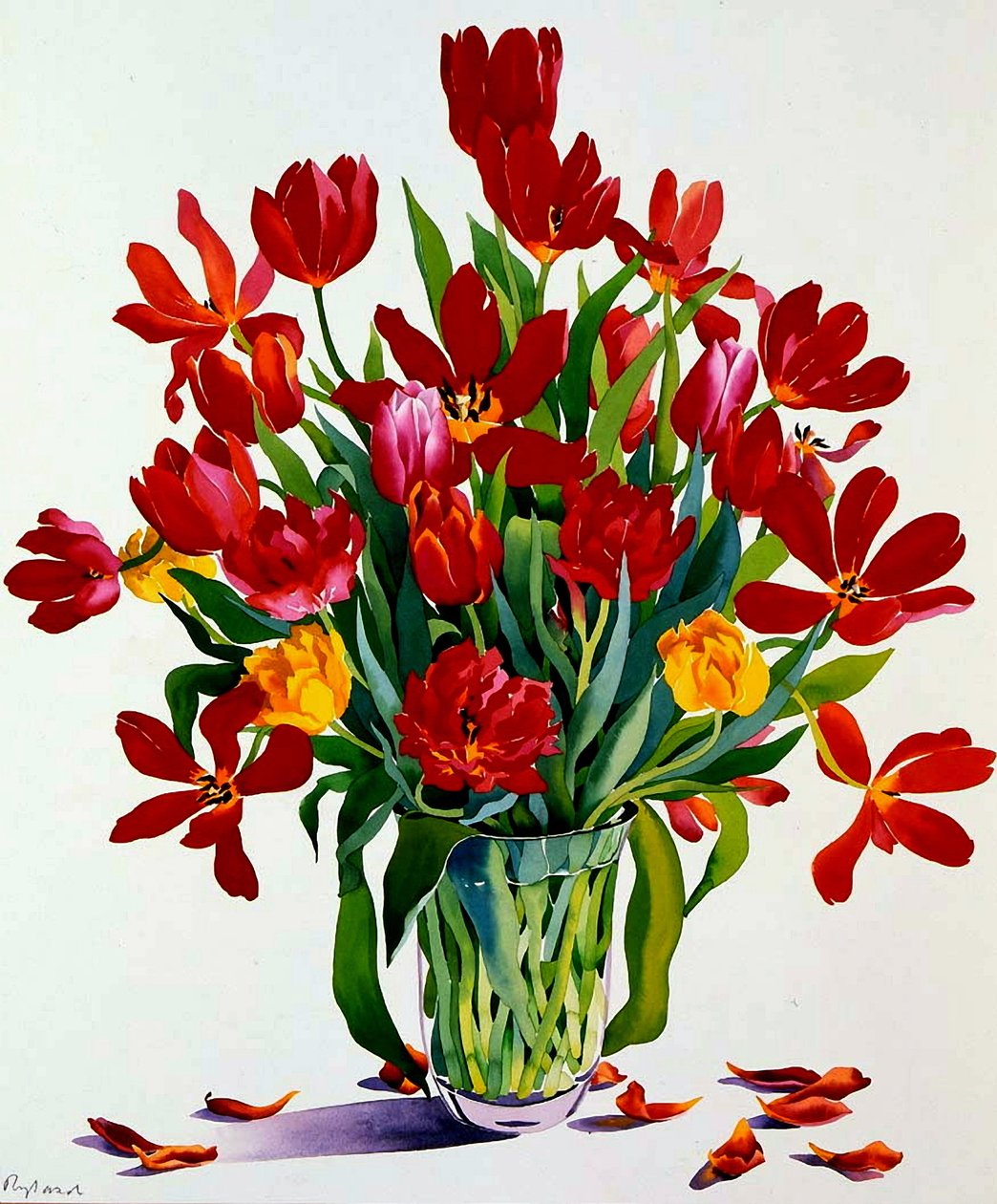 Tulipany (wc na papierze) autorstwa Christopher Ryland