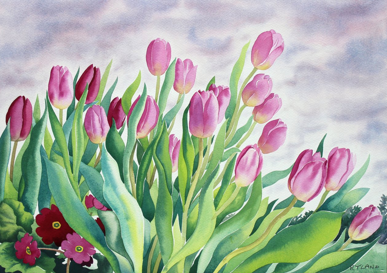 Tulipany przy oknie (akwarela na papierze) autorstwa Christopher Ryland