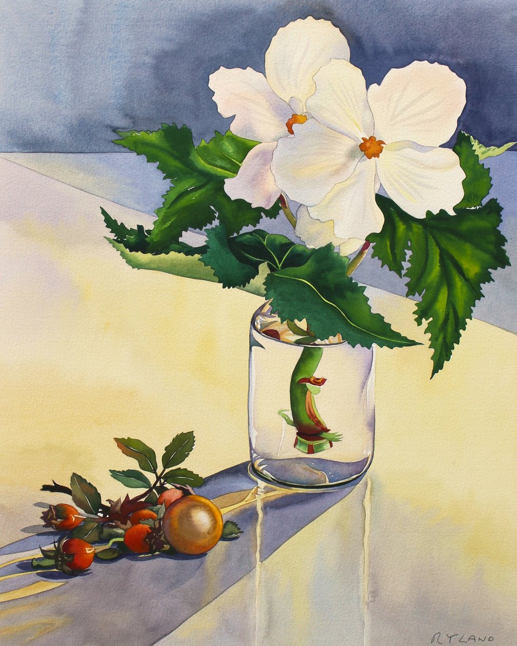 Biała Begonia i Owoce dzikiej róży autorstwa Christopher Ryland