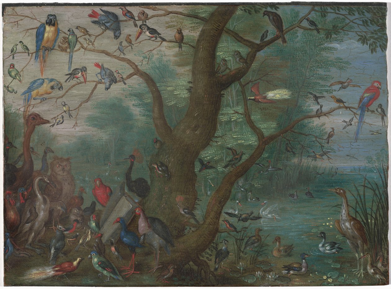 Koncert Ptaków autorstwa Circle of Jan van Kessel the Elder