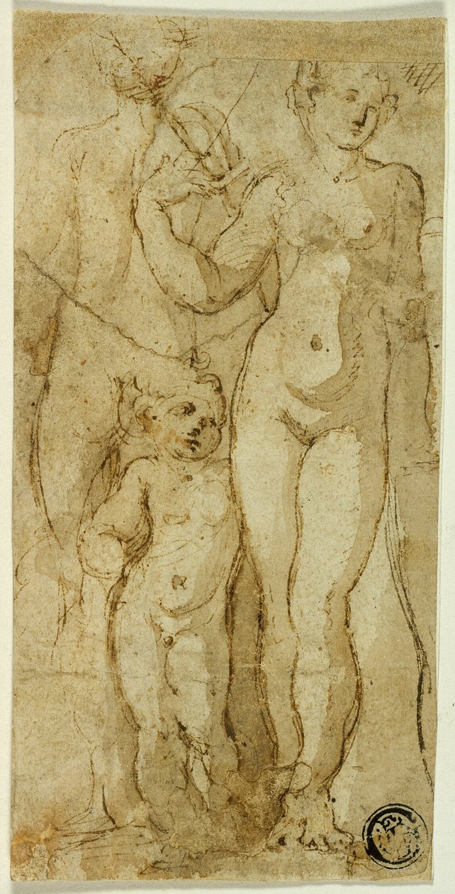 Wenus i Kupidyn autorstwa Circle of Parmigianino