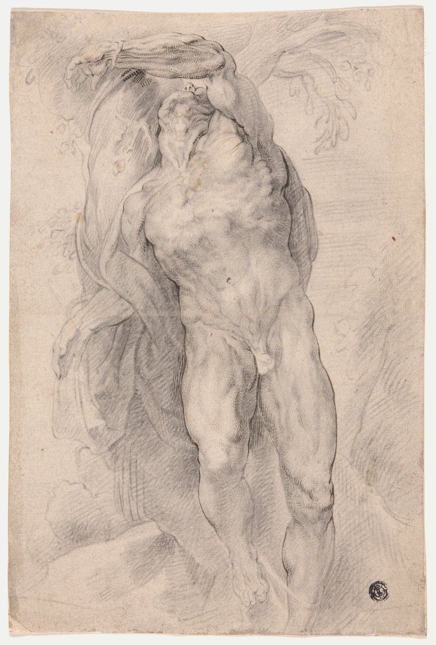 Mężczyzna nago przywiązany do drzewa autorstwa Circle of Peter Paul Rubens