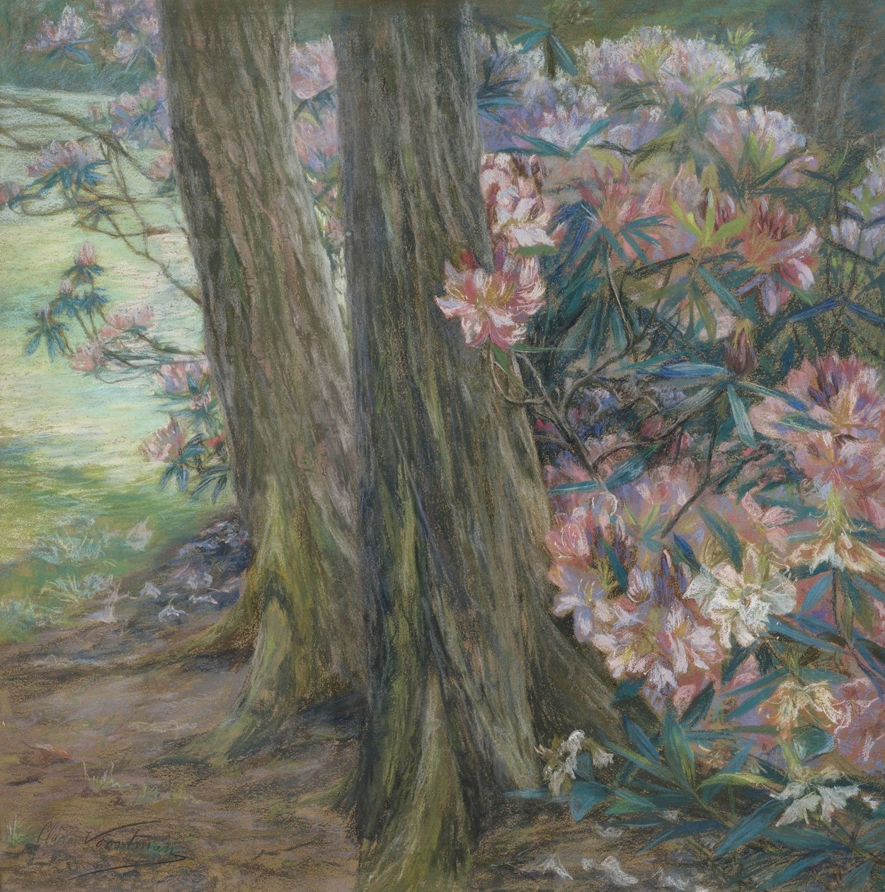 Clara Voortman Rhododendronbusch autorstwa Clara Voortman
