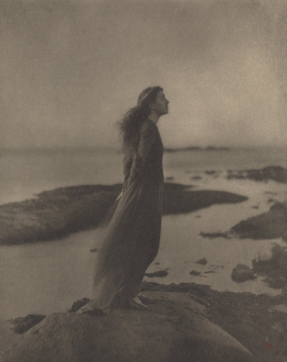 Różany Pastor Stokes autorstwa Clarence H. White