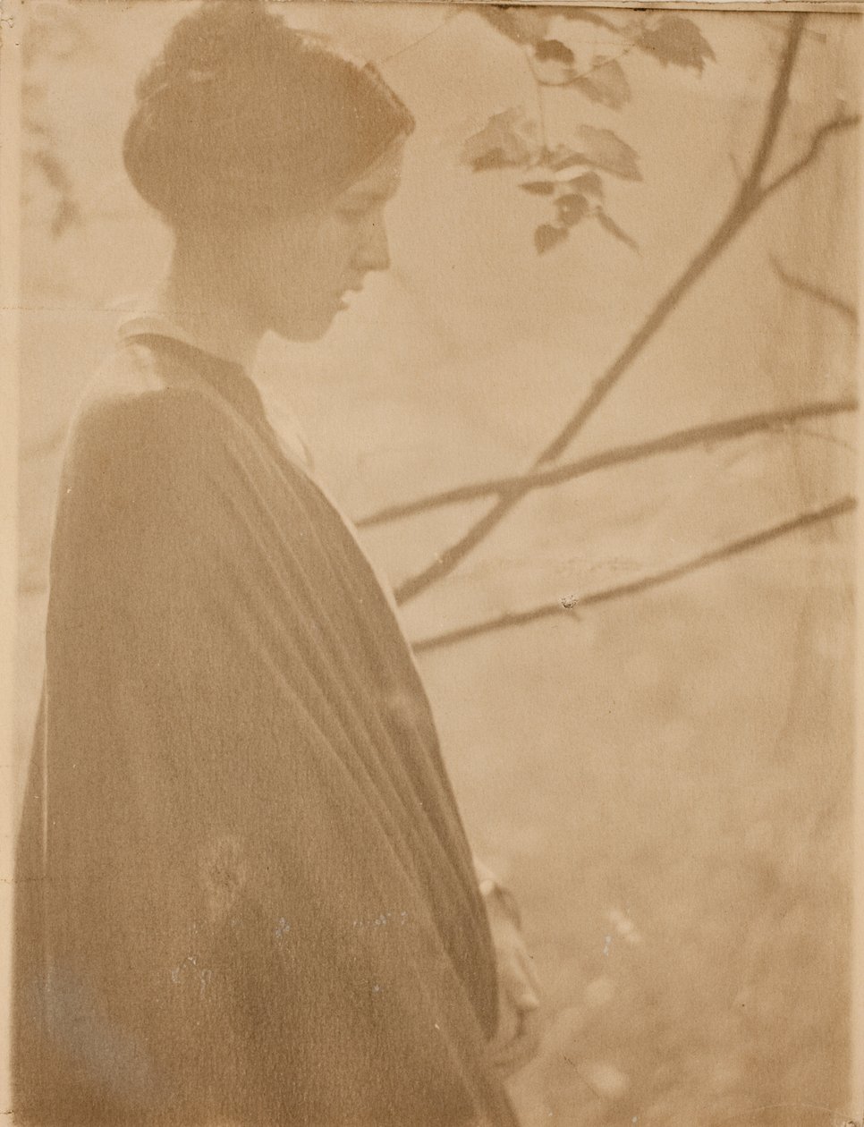 Światło słoneczne autorstwa Clarence H. White