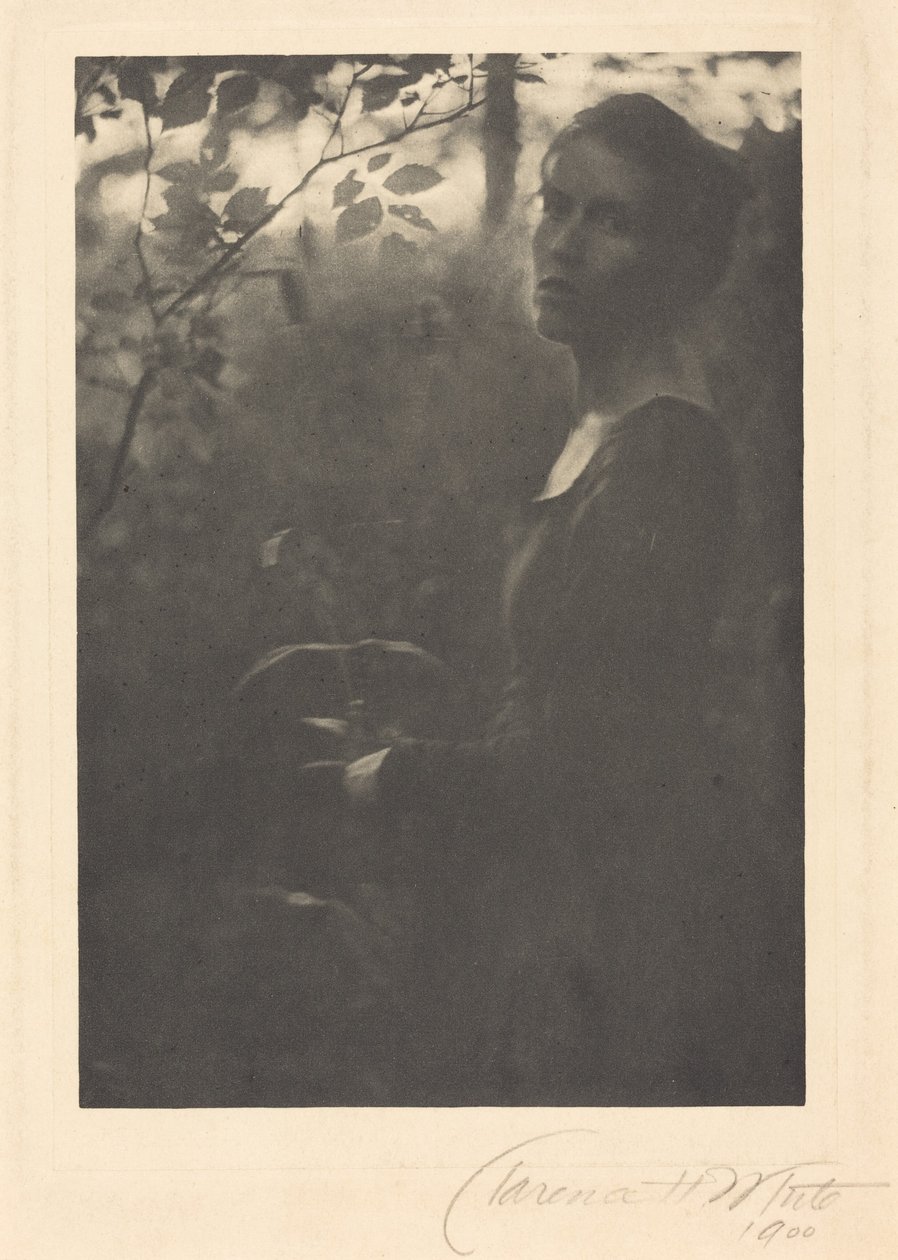 Krawędź lasu, wieczór, 1900 r. (zdjęcie) autorstwa Clarence Henry White
