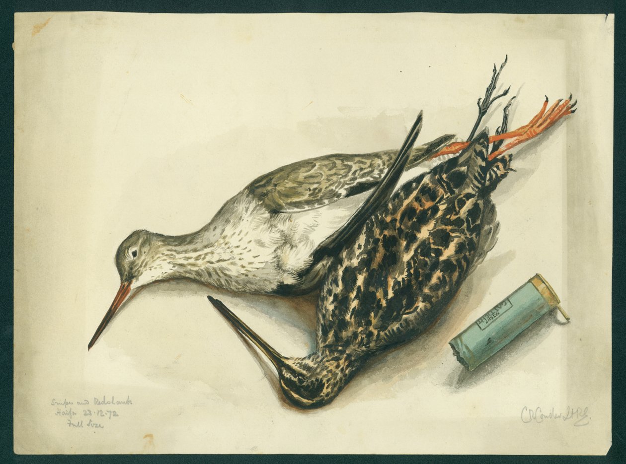 Snipe and Redshank, 1872 (wc i ołówek na papierze) autorstwa Claude Conder