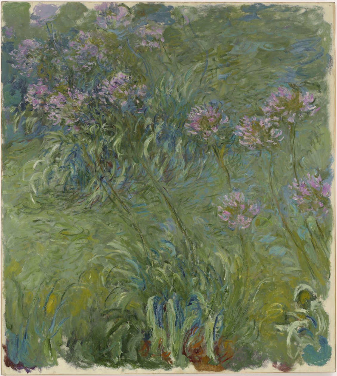Agapant autorstwa Claude Monet