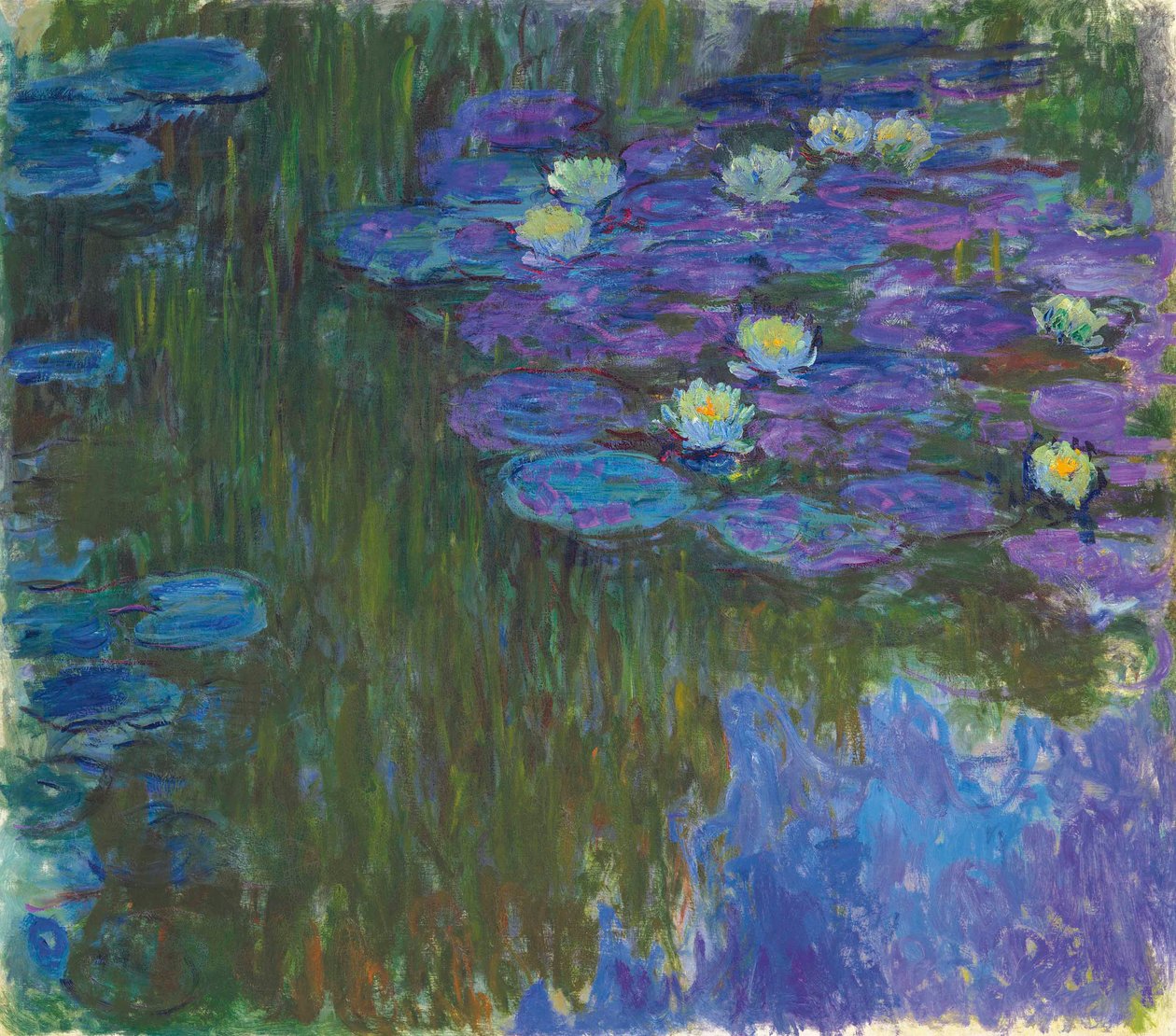 Lilie wodne w rozkwicie autorstwa Claude Monet