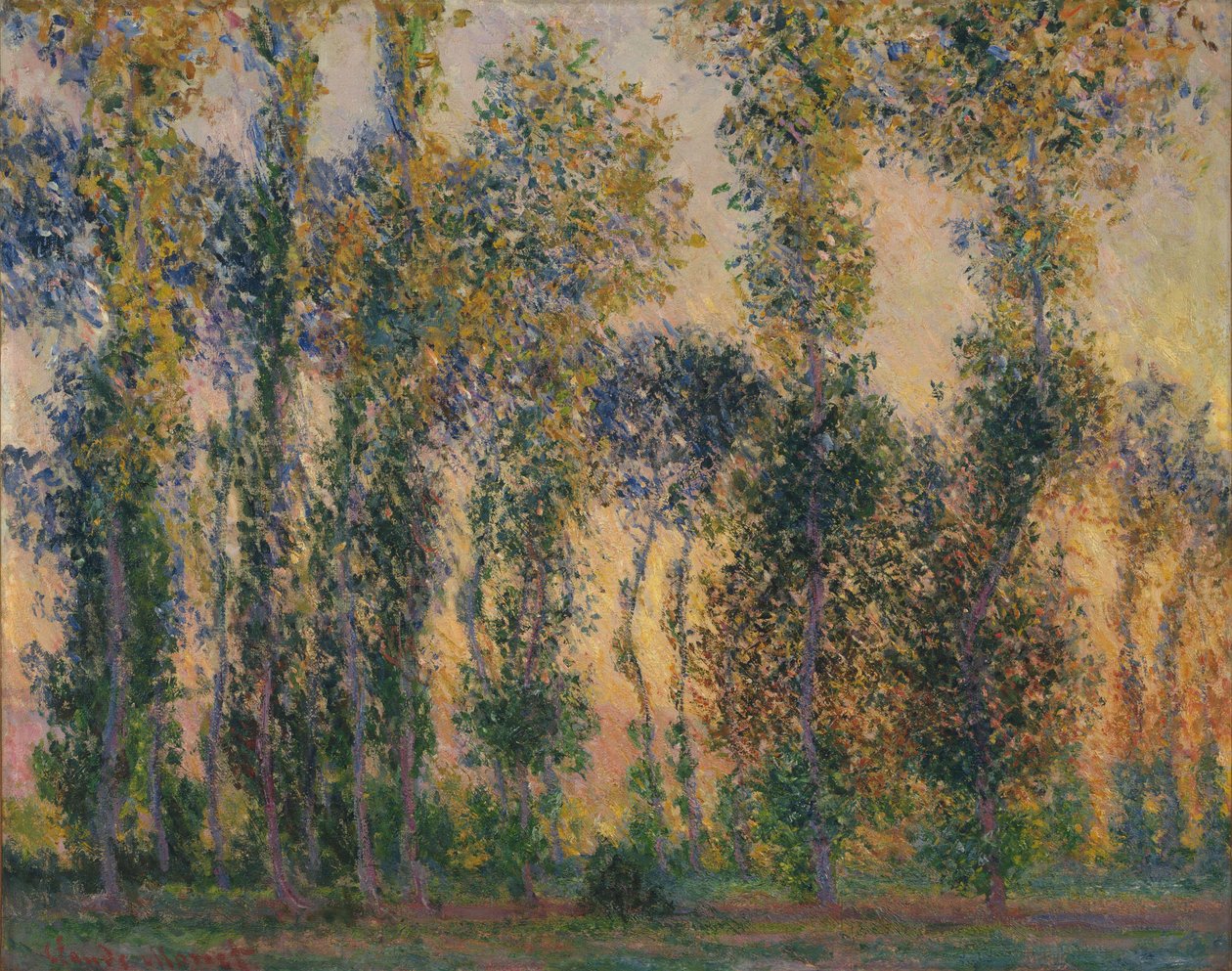 Topole w Giverny, Wschód słońca autorstwa Claude Monet