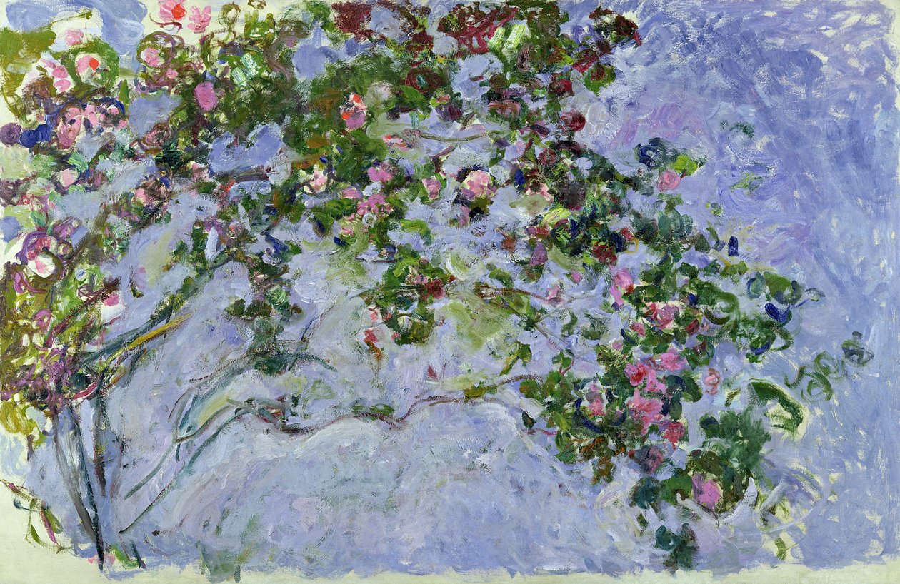 Róże, 1925-26 autorstwa Claude Monet