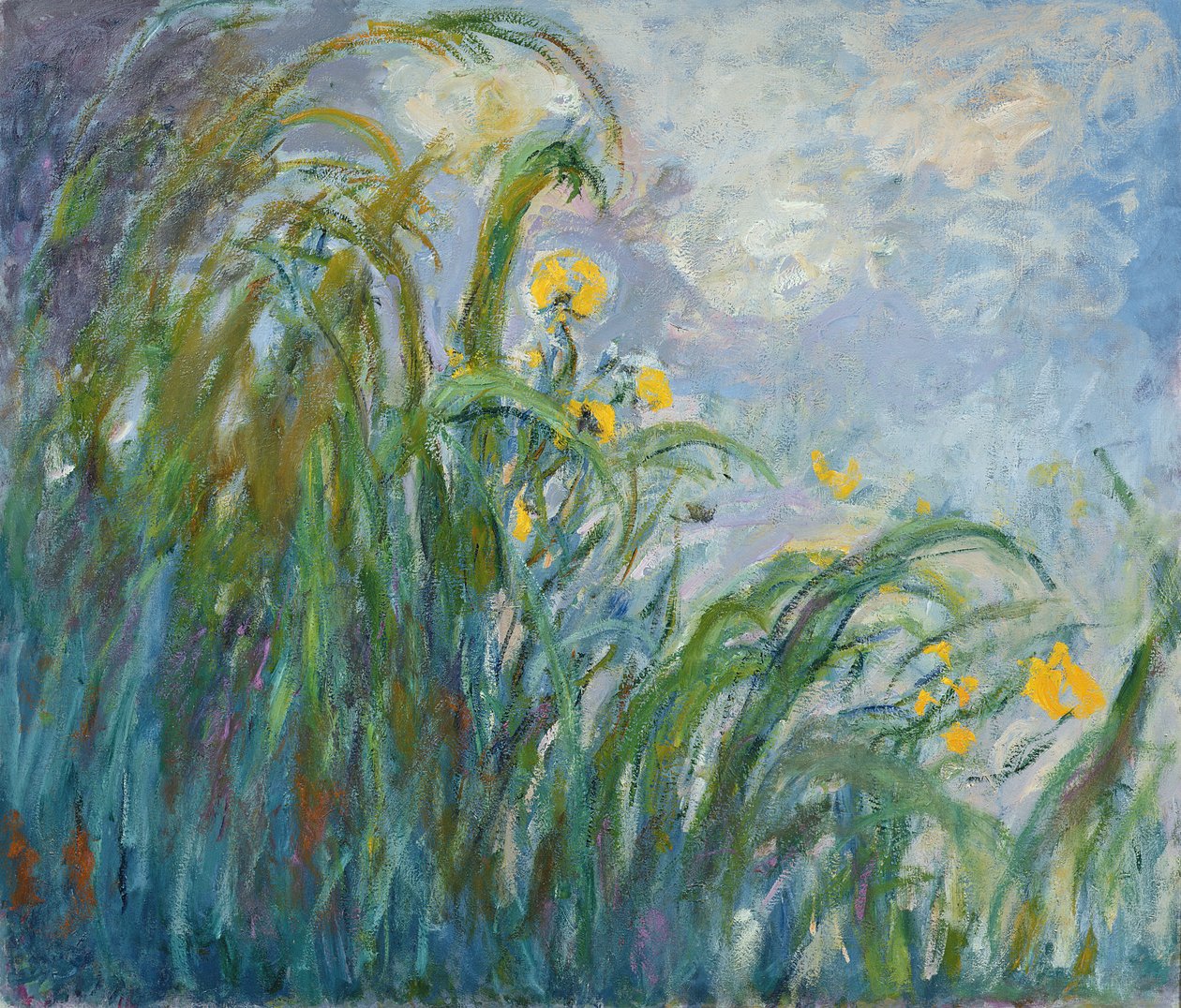 Żółty irys (zobacz szczegóły 414406) autorstwa Claude Monet