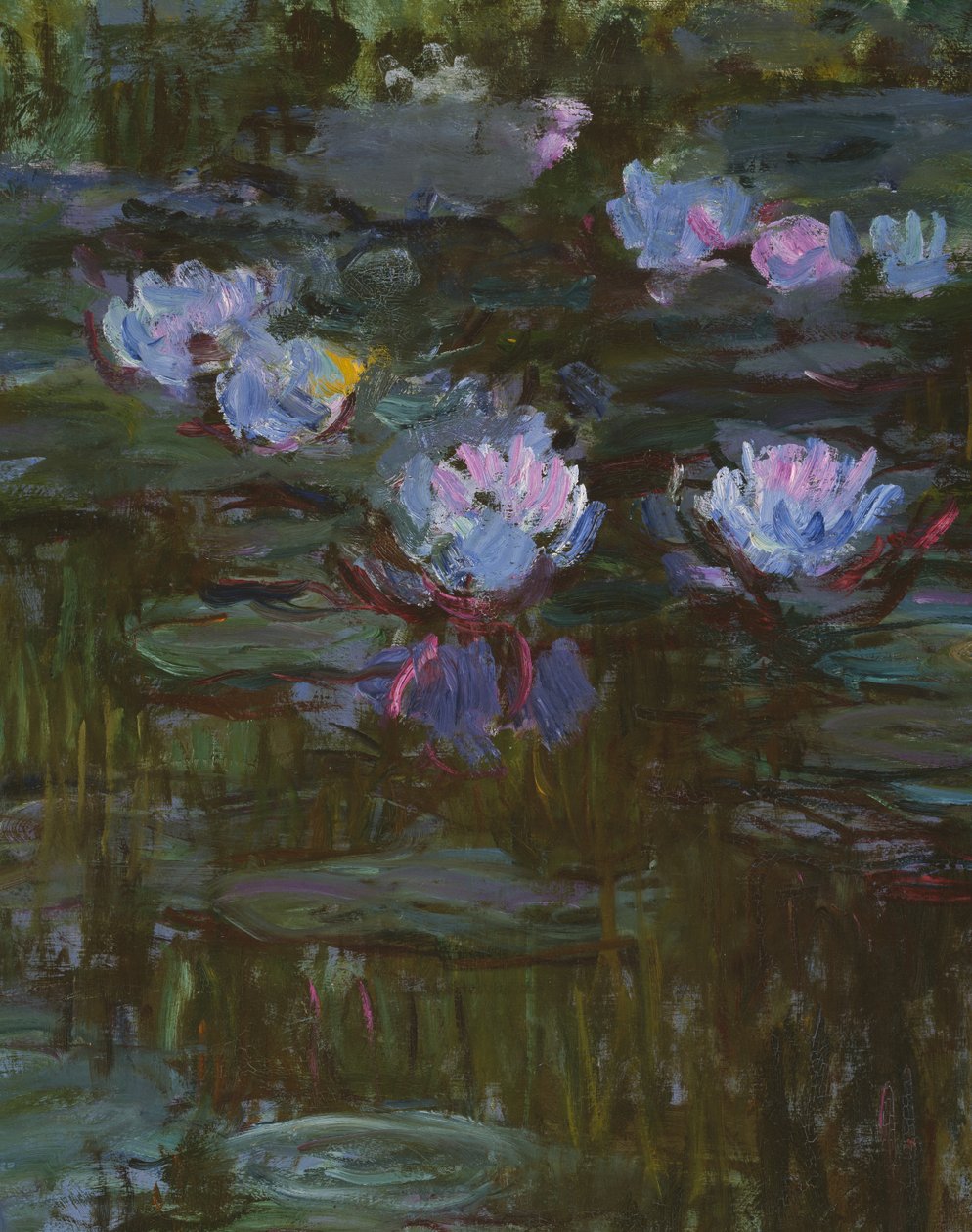 Lilie wodne, 1914-17 fragment 158601 olej na płótnie autorstwa Claude Monet