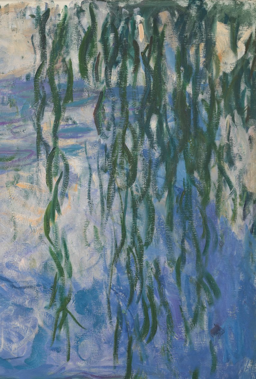 Lilie wodne, 1916-19 olej na płótnie detal 161015 autorstwa Claude Monet