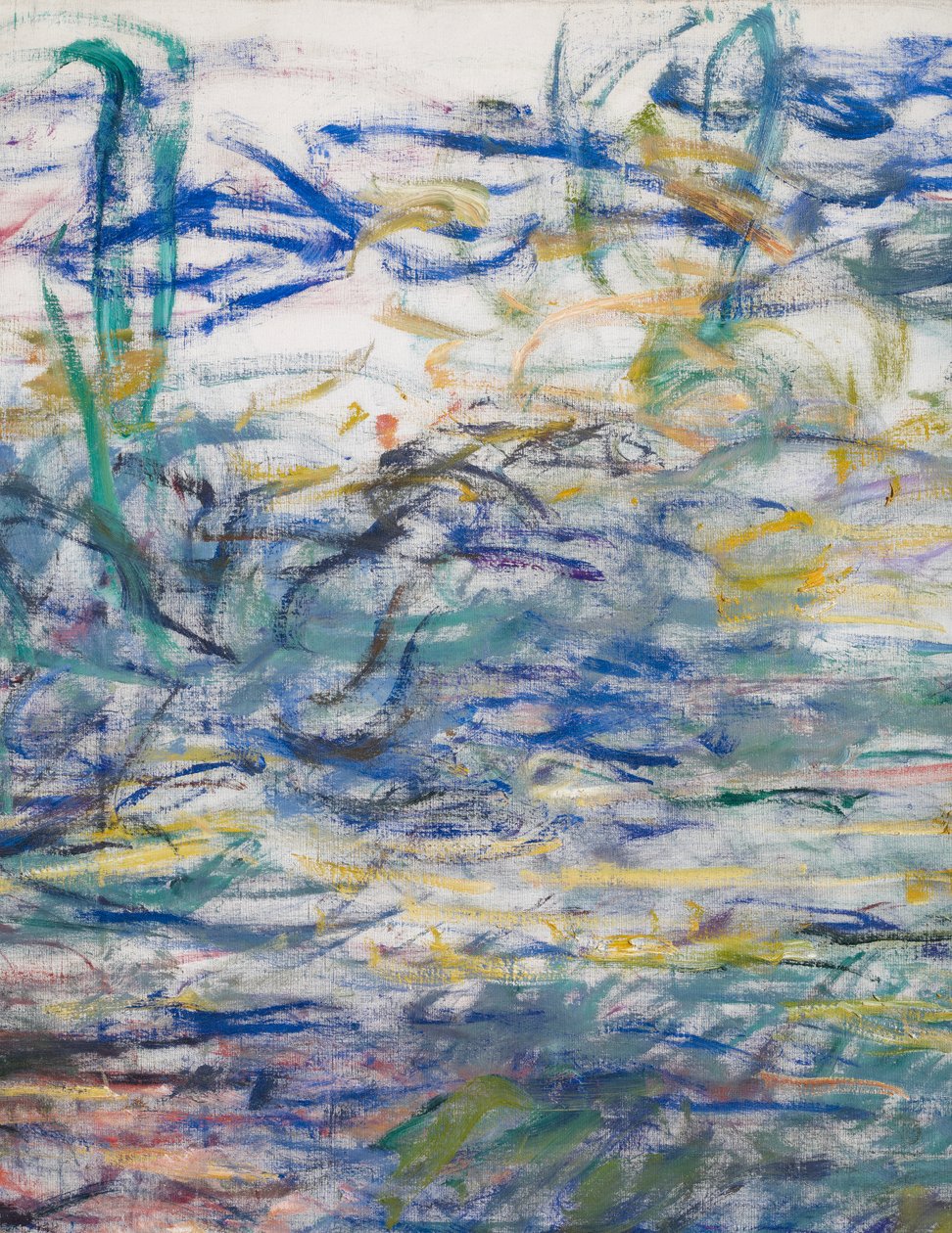 Lilie wodne, 1917-19 fragment 160656 olej na płótnie autorstwa Claude Monet